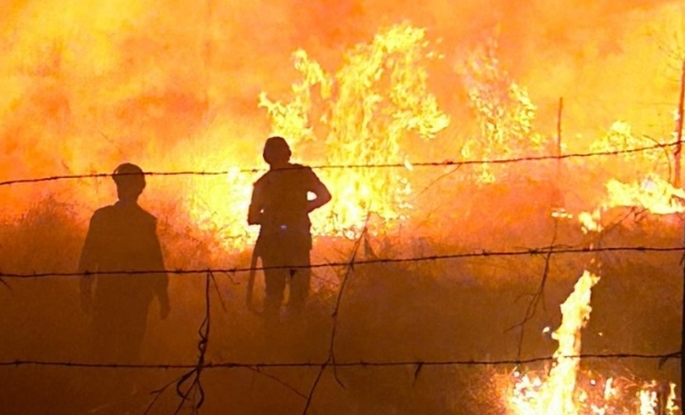 Incêndio atinge vegetação e poste de energia elétrica em Itaperuna
